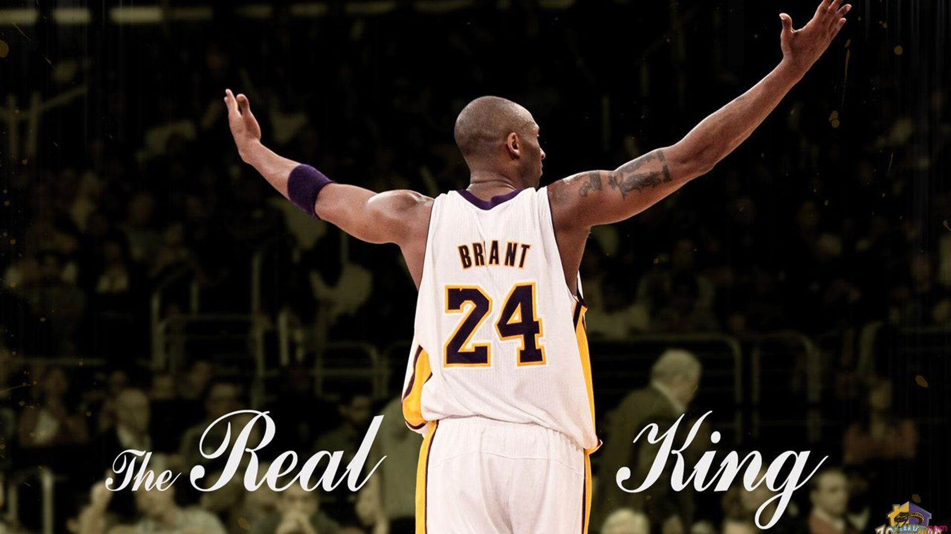 猛龙正面击溃辽宁队,霍勒迪成为关键先生